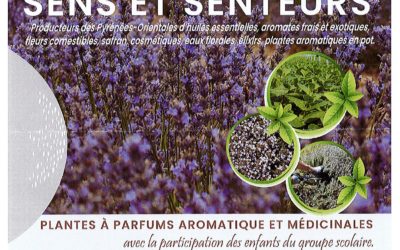 Marché des sens et senteurs