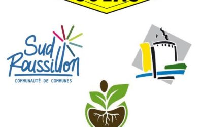 🌳🌳 👍MICRO FORÊT👍🌳🌳