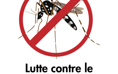 🦟 Moustique-tigre : adoptons les bons gestes !